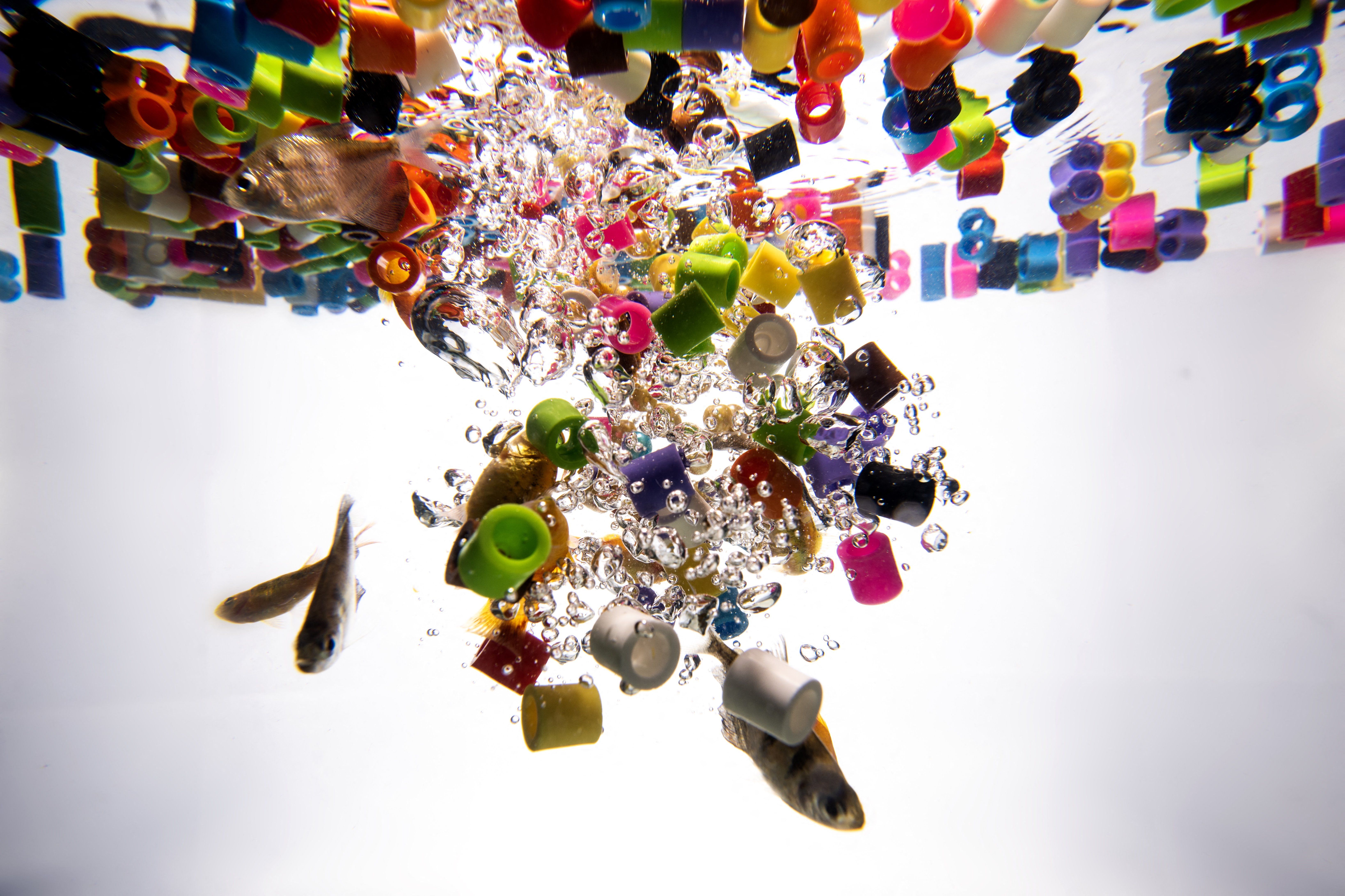 Microplastics React With Water, a New Study Says. That’s a Problem for Biology — Wired, Frankfurt Technology news