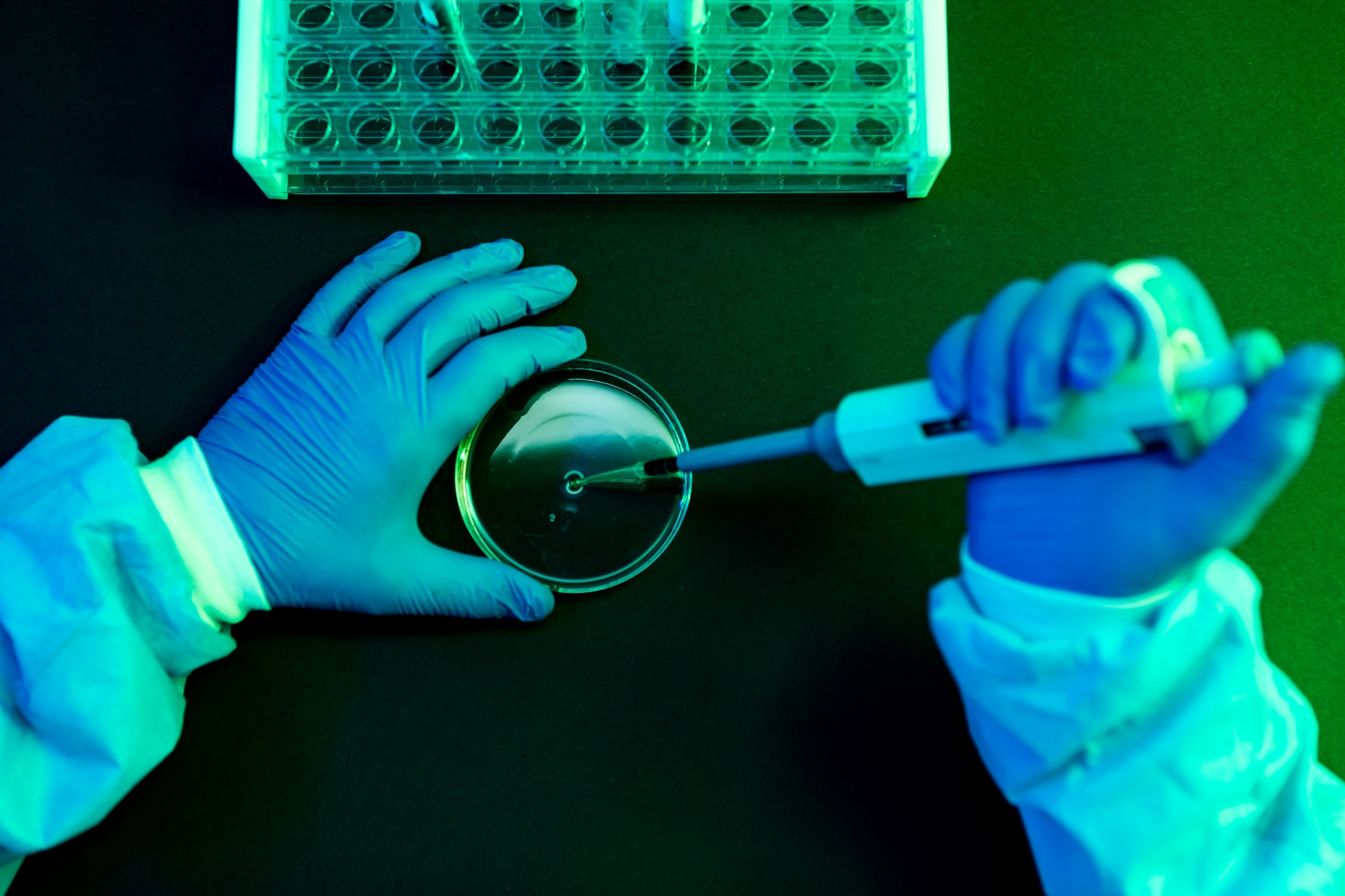 What to Know About Shamonda Virus Following the First Reported Human Infection — Wired, Frankfurt Technology news